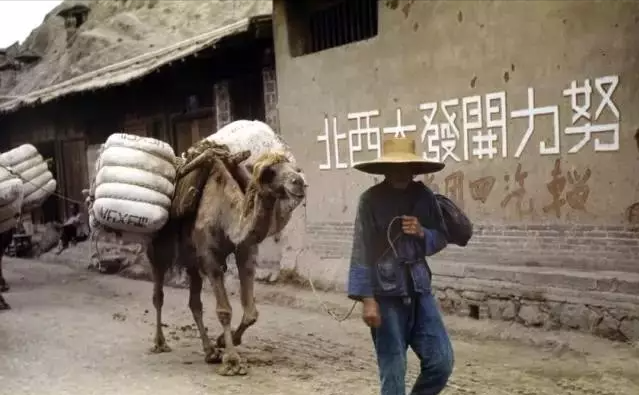 图片2.png